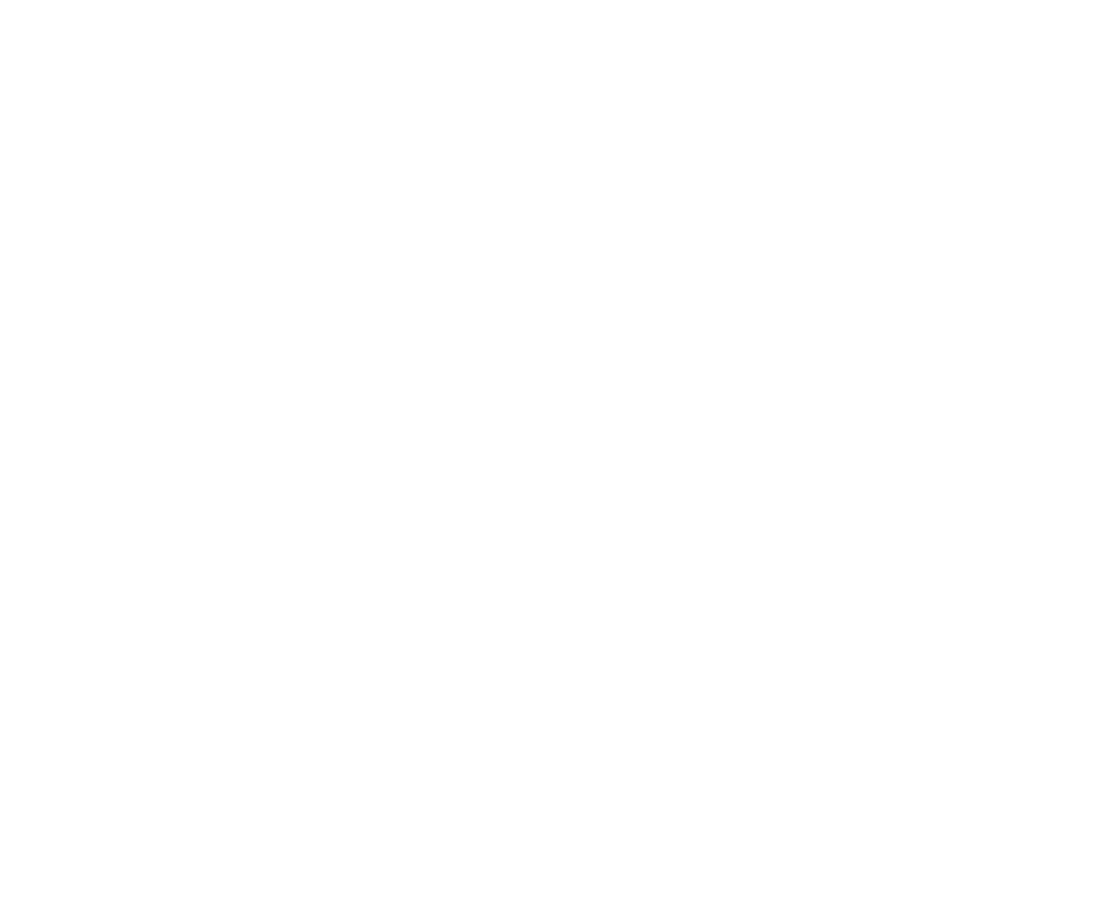 belem-logo-white